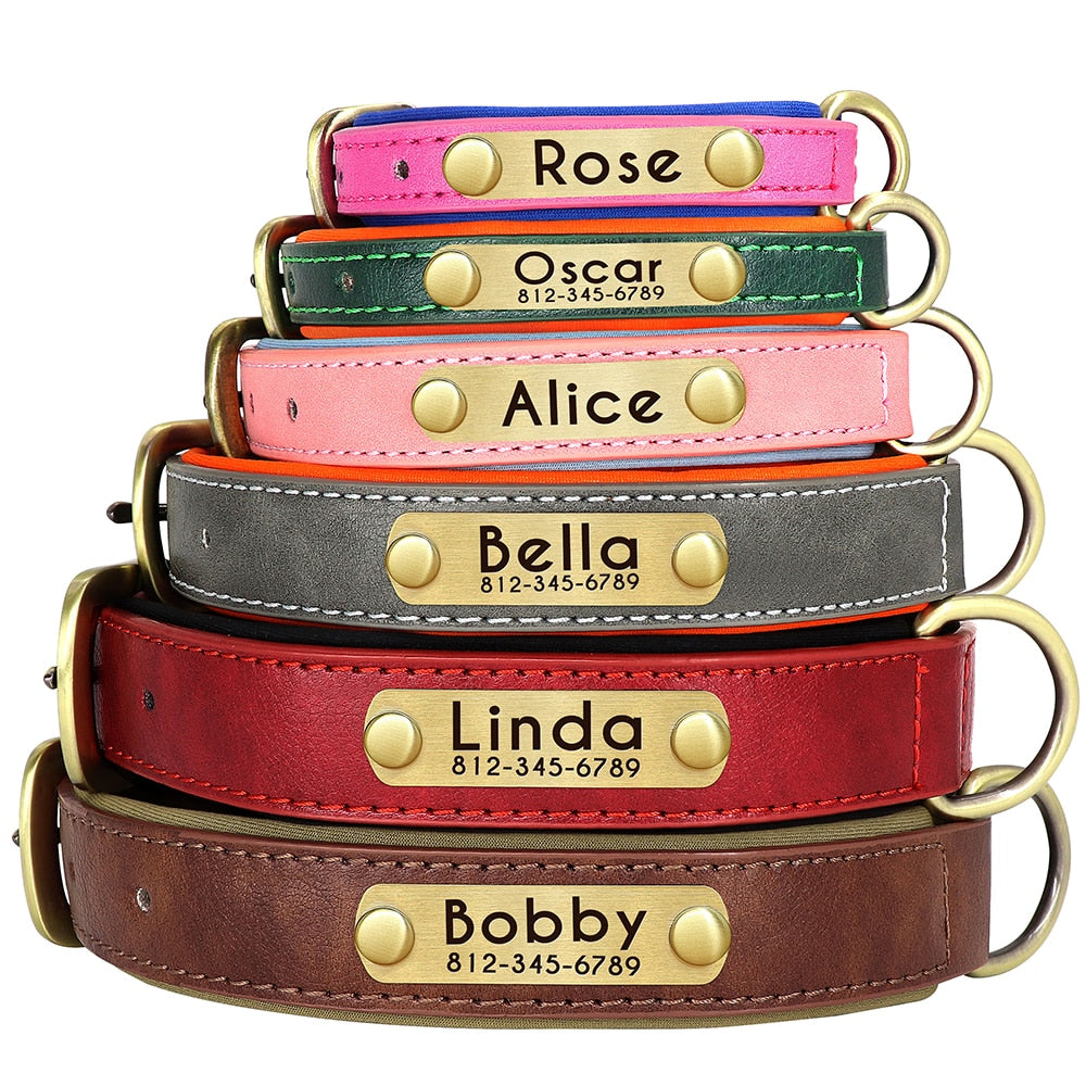 Nameplate Dog Collar