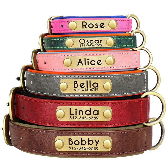 Personalized Leather ID Nameplate Dog Collar – Soft Padded & Adjustable