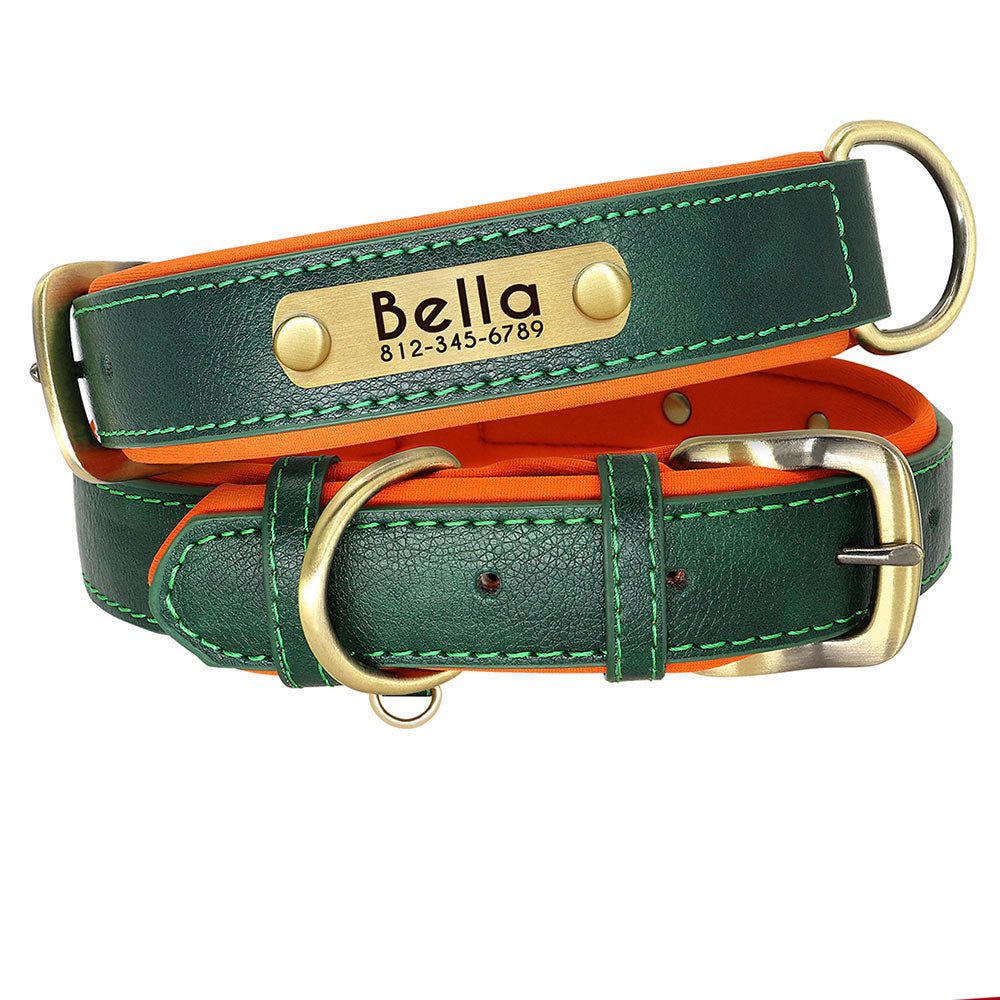 Personalized Leather ID Nameplate Dog Collar – Soft Padded & Adjustable